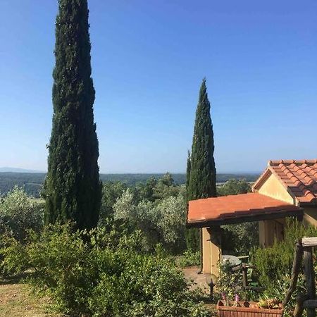 Casa Belvedere -Tranquillita Tra Bosco E Ulivi- Riparbella Exterior foto