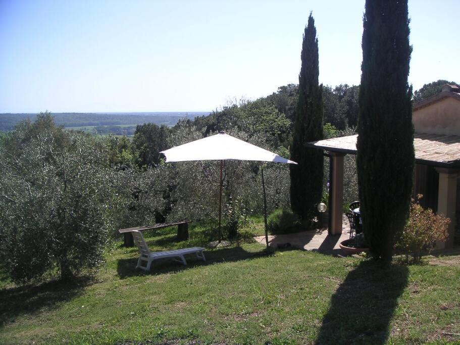 Casa Belvedere -Tranquillita Tra Bosco E Ulivi- Riparbella Exterior foto