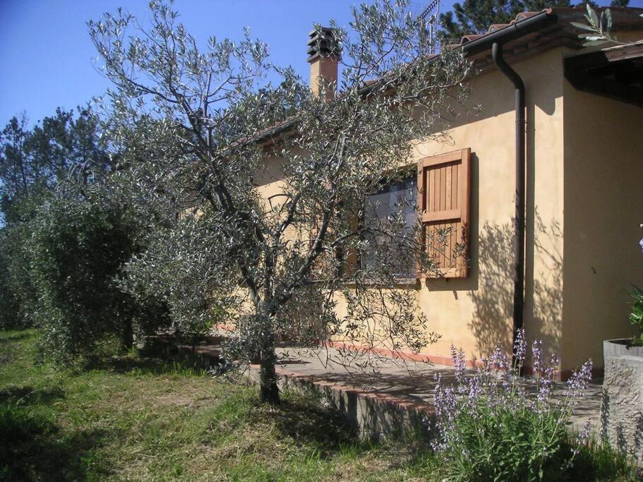 Casa Belvedere -Tranquillita Tra Bosco E Ulivi- Riparbella Exterior foto
